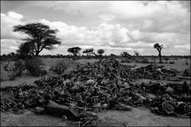 Kenya : Forseeable death.